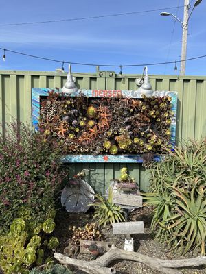 Mersea Restaurant, Bar and Venue by null