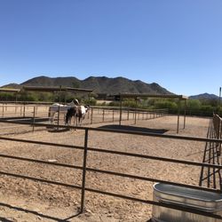 Painted B Sky Ranch - Multiple Turn Outs