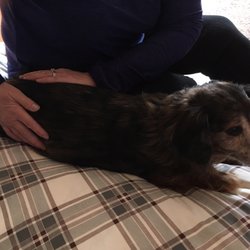 Kim's Reiki Room