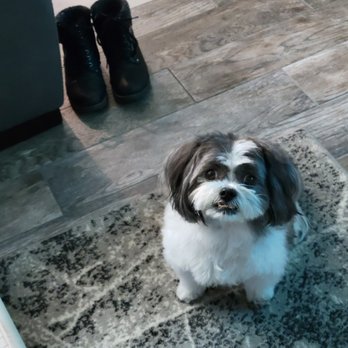 Broadway Grooming - Pet Groomers Near Me - Tucson, Arizona