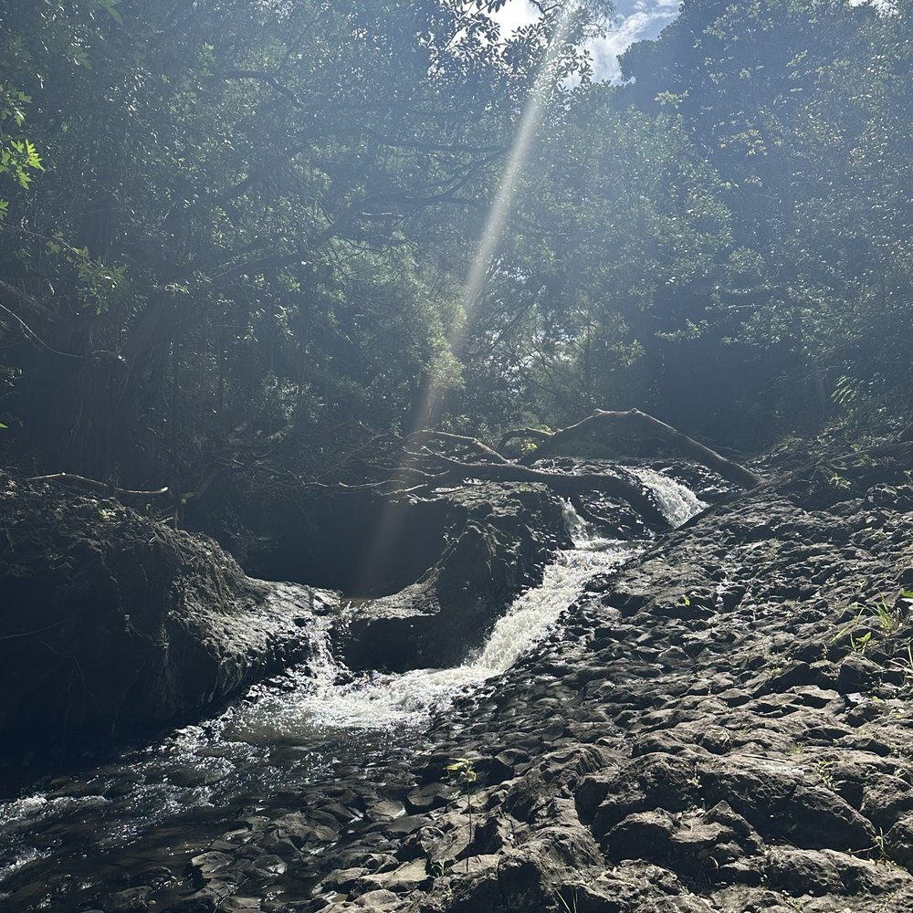 Twin Falls Trail - Hiking Near Me - Haiku, Hawaii Twin Falls Trail - Hiking Near Me - Haiku, Hawaii