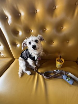 Nickel City by null Nickel City by null