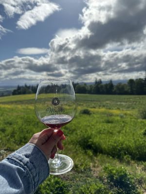 Winter's Hill Estate by null