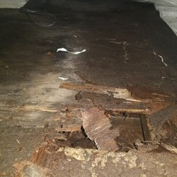 1 800 Busydog 29 Photos 110 Reviews Waterproofing 1600 Providence Hwy Walpole Ma United States Phone Number Waterproofing 1600 Providence Hwy