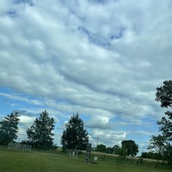 Zepeda Vineyard & Winery