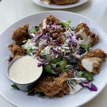 Dish Society - Crispy Chicken Kale Caesar - New American Near Me - Katy, Texas Dish Society - Crispy Chicken Kale Caesar - New American Near Me - Katy, Texas