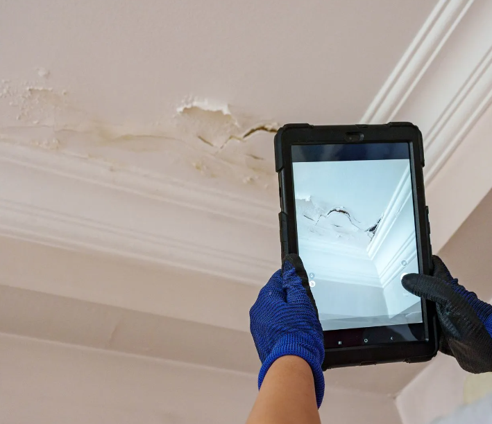 Local Restoration - veterans service organization in Gonzales, LA