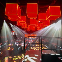 Cheetah Lounge - Our beautiful, sexy main room!