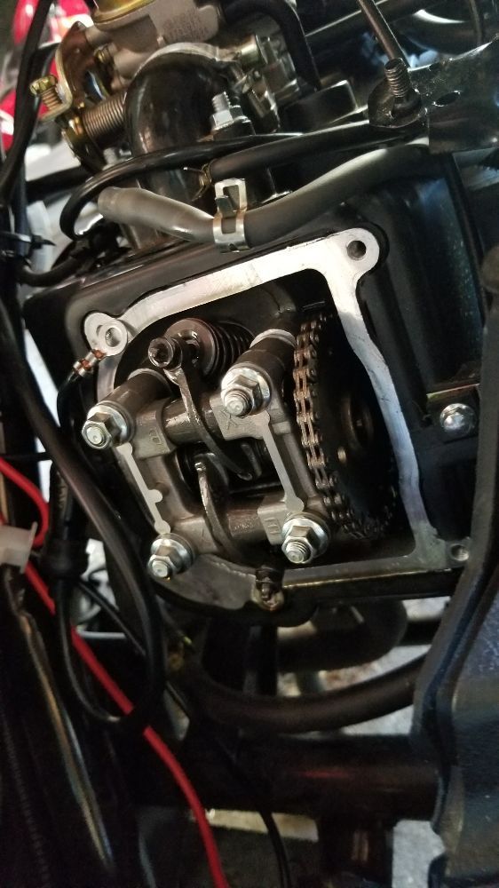 SCOOTER MUTTER Updated September 2024 75 Photos & 27 Reviews 687