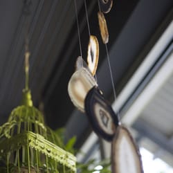Green Space Salon