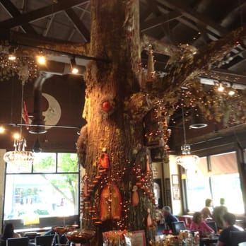 All Chocolate Kitchen - Chocolate tree. - Desserts Near Me - Geneva, Illinois