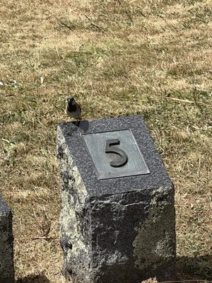 Space Place at Carter Observatory by null