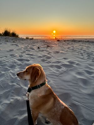 Sandy Cove Inn and Red Door Vacation Rentals by null