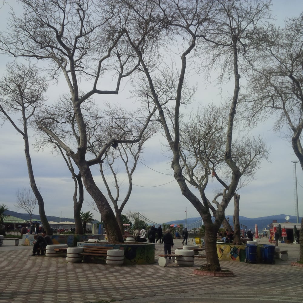 Liman Bandırma