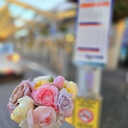 Surrey Memorial Hospital - Homegrown roses