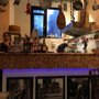 Photo of Sala Federico