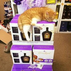 Shawn's Petit Bois Liquors