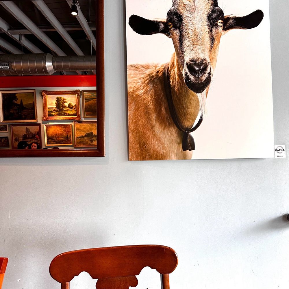 Taco Billy - Kafka - Breakfast & Brunch Near Me - Asheville, North Carolina Taco Billy - Kafka - Breakfast & Brunch Near Me - Asheville, North Carolina