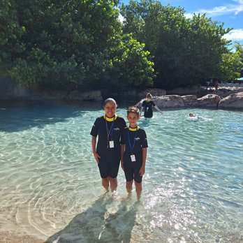 Discovery Cove - Amusement Parks Near Me - Orlando, Florida