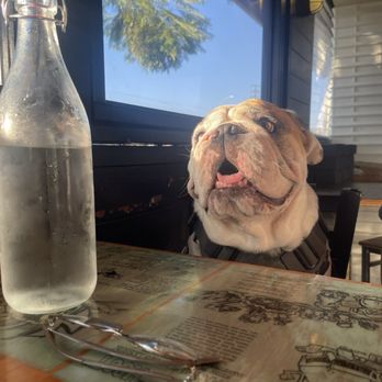 Little Coyote - Patio - Pizza Near Me - Long Beach, California