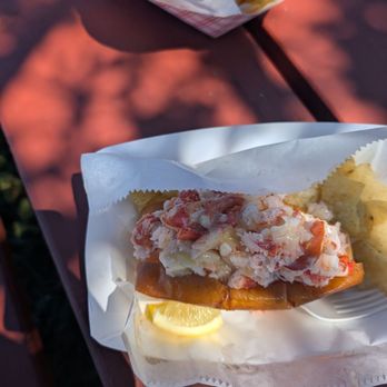 Bite Into Maine - Food Trucks Near Me - Portland, Maine Bite Into Maine - Food Trucks Near Me - Portland, Maine