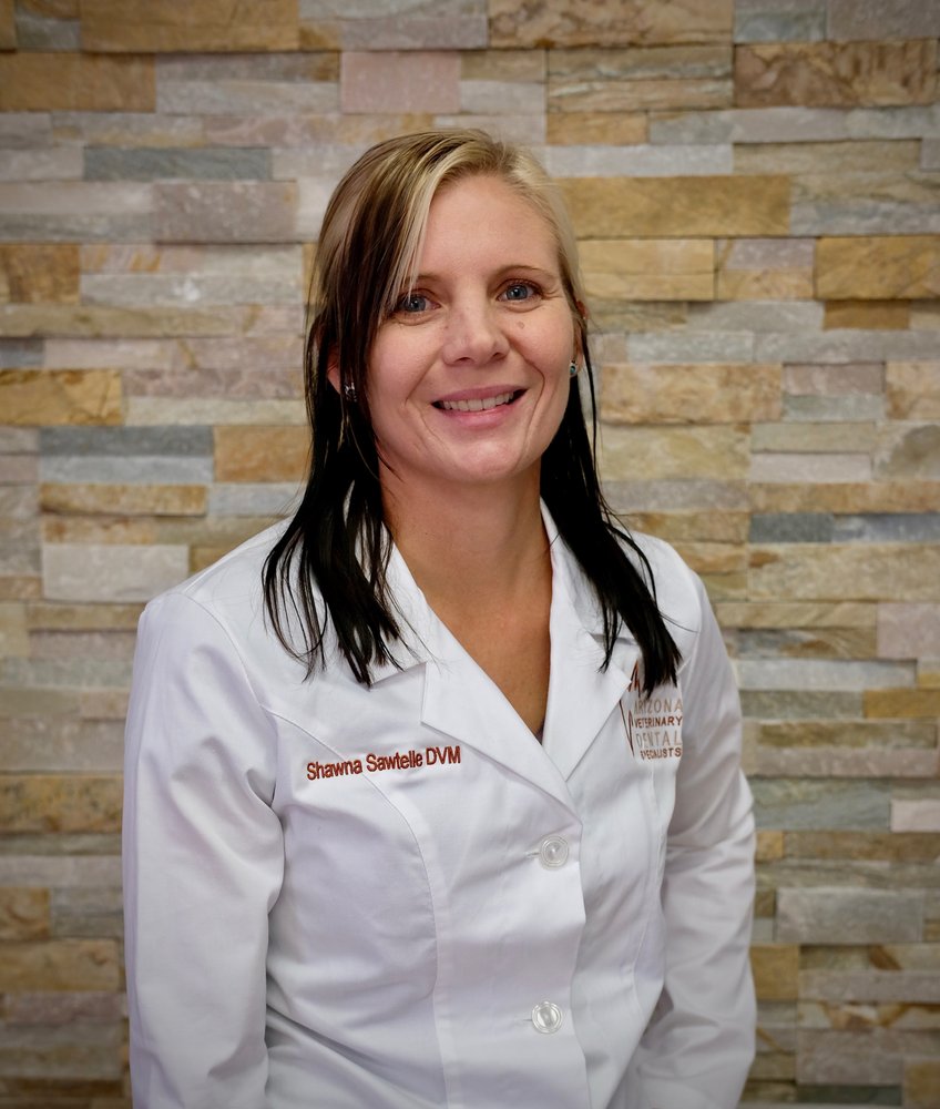 ARIZONA VETERINARY DENTAL SPECIALISTS TUCSON with photos Updated