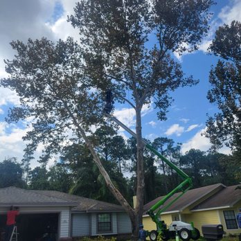 Russell Tree Care - Tree removed - Tree Services Near Me - Jacksonville, Florida Russell Tree Care - Tree removed - Tree Services Near Me - Jacksonville, Florida