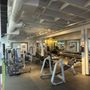 Photo of Muscletopia USA