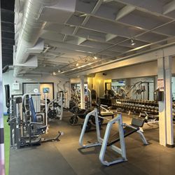 Muscletopia USA