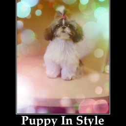 Truffles the supermodel =)