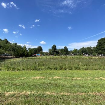Farm Cafe - The fields - American Near Me - Closter, New Jersey