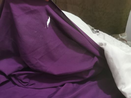 Lucky D's Hostel San Diego by null