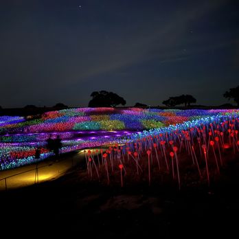 Sensorio - Art Galleries Near Me - Paso Robles, California Sensorio - Art Galleries Near Me - Paso Robles, California