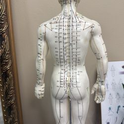 White Lotus Wellness
