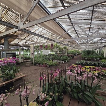 Foothill Nursery - Nurseries & Gardening Near Me - Sylmar, California