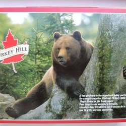 The Great Canadian Gift Company - Canadian maple bear cookies