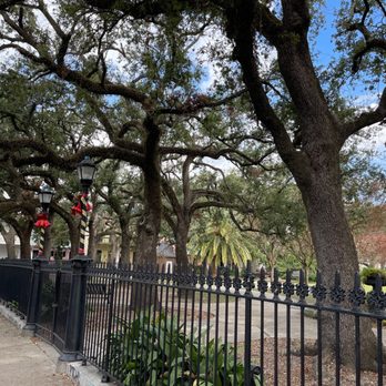 Washington Square - Beautiful trees - Dog Parks Near Me - New Orleans, Louisiana