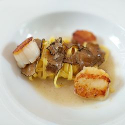 Dachsbau - Scallops / Shaved Truffles / House Fresh Made Noodles - everything about this was perfect. so reasonably priced.