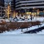 Photo of Barbara Ann Scott Ice Trail