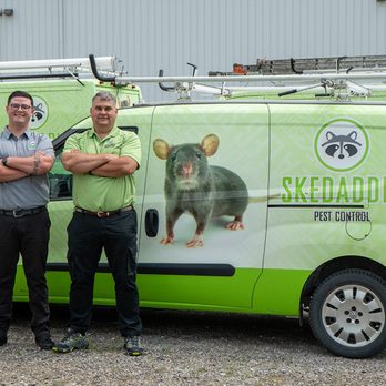 Skedaddle Humane Wildlife Control - Wildlife Control Near Me Skedaddle Humane Wildlife Control - Wildlife Control Near Me