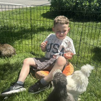 Steppin'out Ponies - My son with the chickens and bunny. - Party & Event Planning Near Me Steppin'out Ponies - My son with the chickens and bunny. - Party & Event Planning Near Me