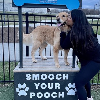 Clay Terrace Dog Park - Dog Parks Near Me - Carmel, Indiana Clay Terrace Dog Park - Dog Parks Near Me - Carmel, Indiana