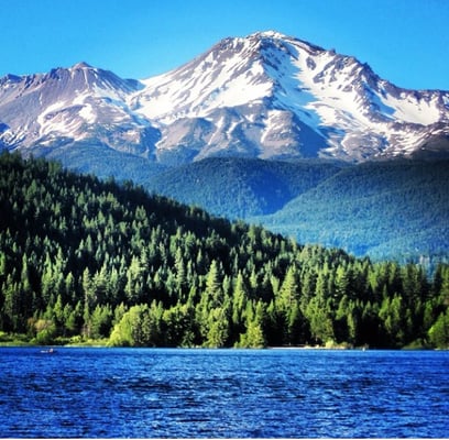 Mount Shasta Resort by null