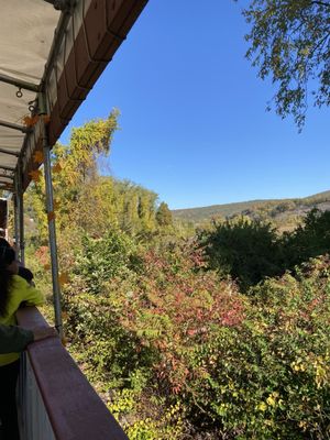 Catskill Mountain Railroad by null