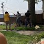 Photo of Koala Tree Service