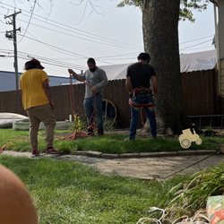 Koala Tree Service