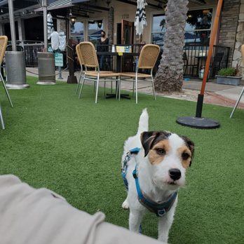 Hennessey's - Scout at Hennesseys for lunch. - Bars Near Me - Redondo Beach, California Hennessey's - Scout at Hennesseys for lunch. - Bars Near Me - Redondo Beach, California