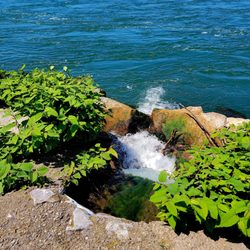 Broderick Park - Broderick Park