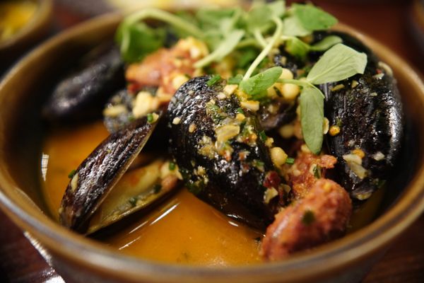 The Sur House by null