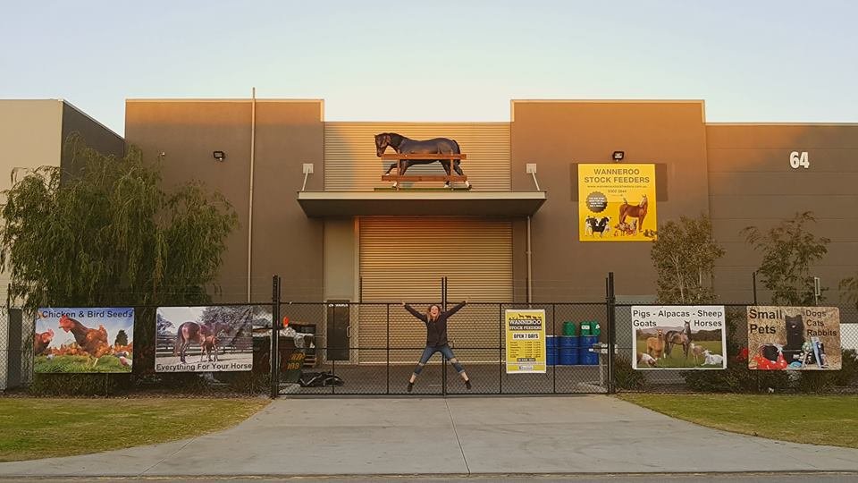 Wanneroo Stockfeeders Request A Quote Horse Boarding 64
